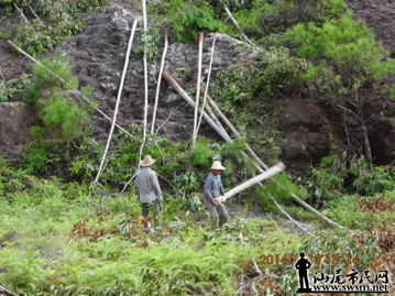 生態(tài)保護(hù)與產(chǎn)業(yè)發(fā)展的矛盾 從違規(guī)造墳與砍伐森林說(shuō)起